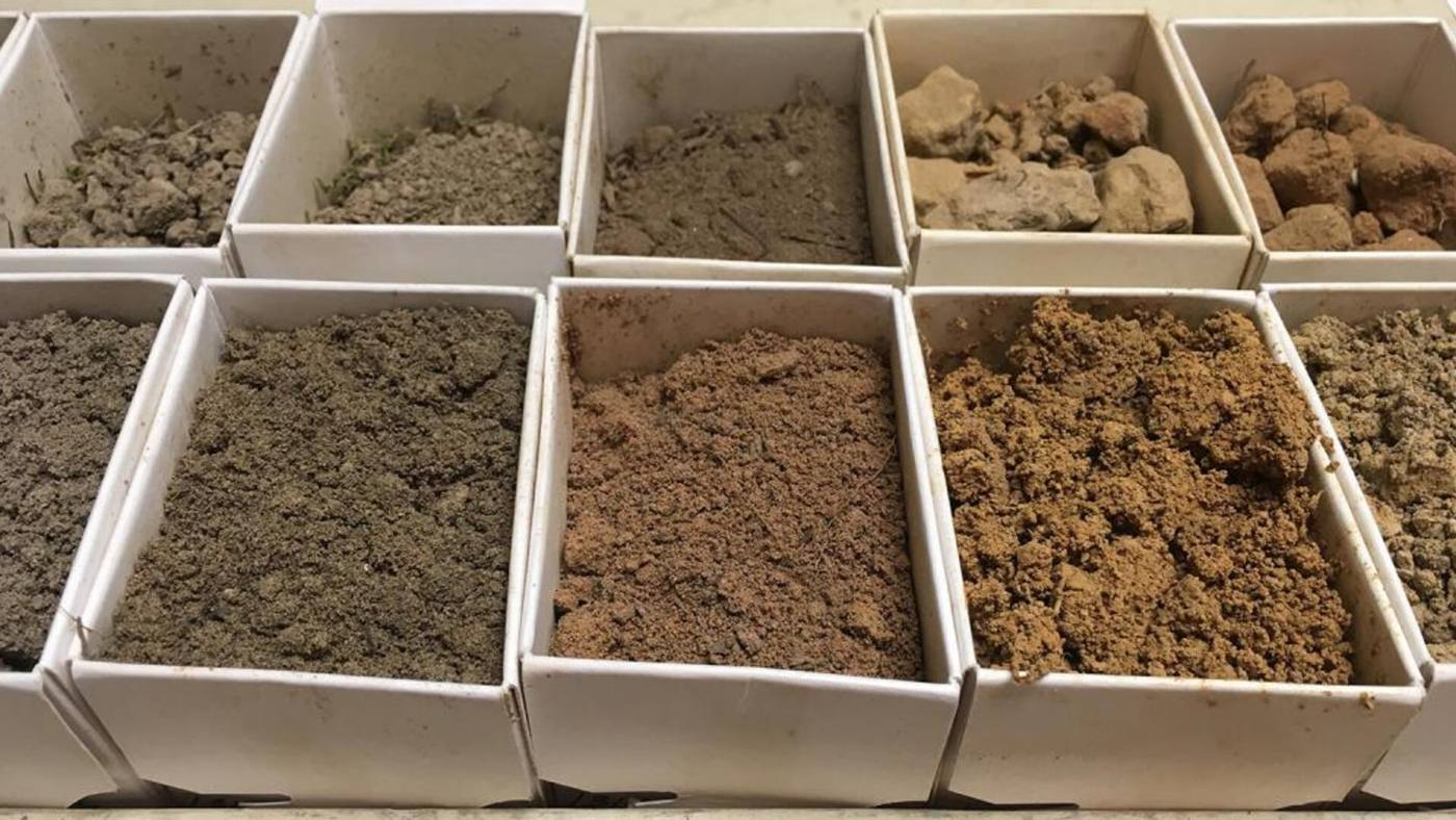 Soil samples from borings laid out in boxes for lab testing